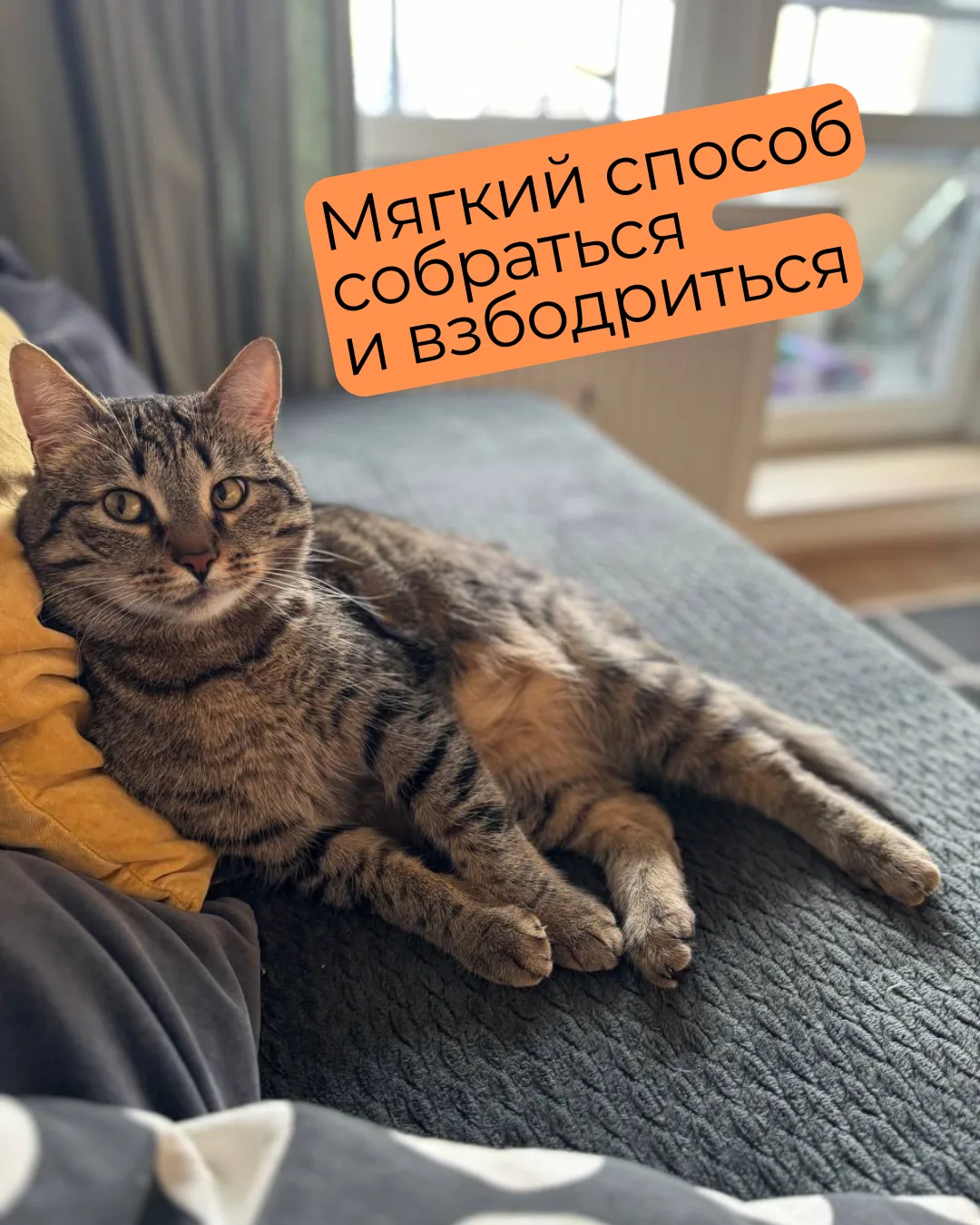 Если сегодня вроде как выходной, но нет ни бодрости, ни настроения, попробуйте это и со...