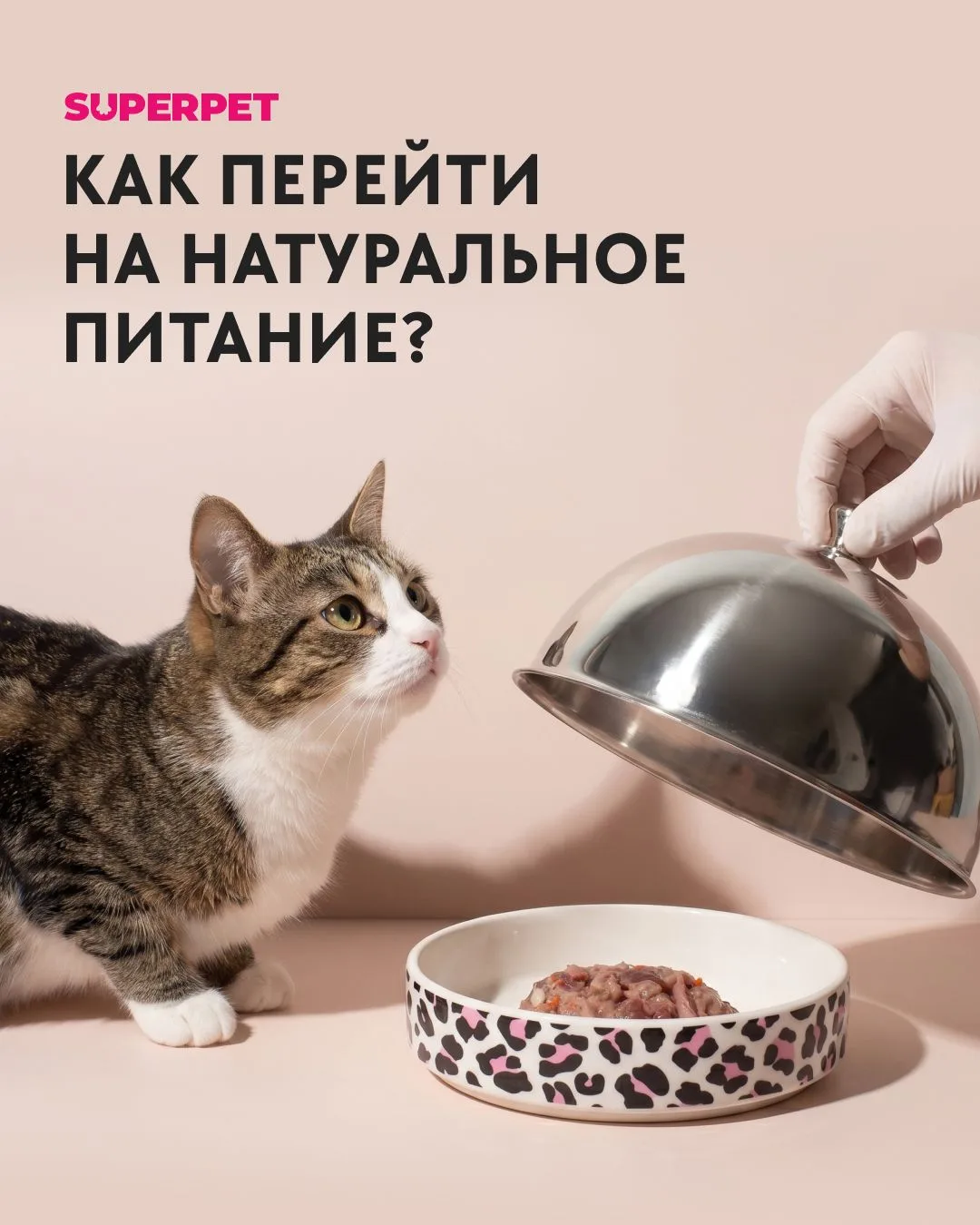 Как правильно перейти на натуральное питание?
