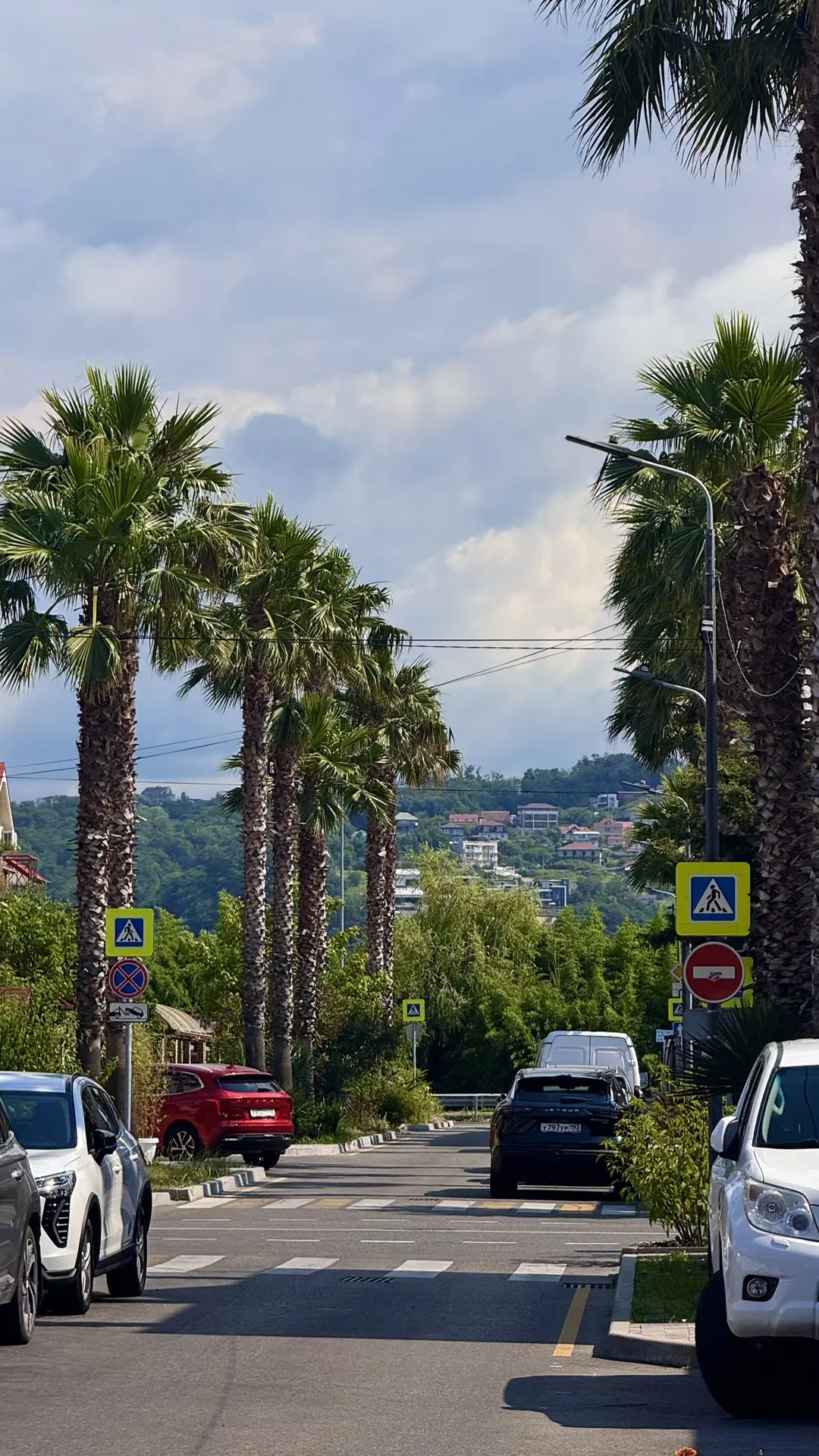 🌴 Сегодня на прогулке попалась красивая пальмовая улочка в Сириусе