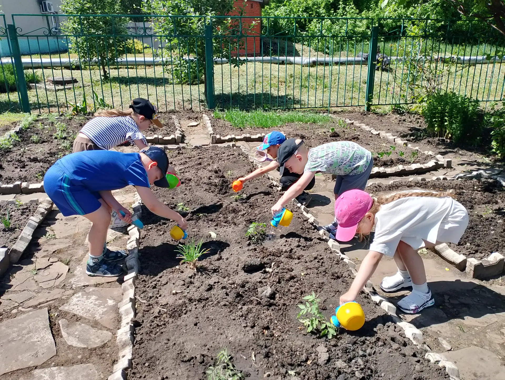 🌟 Юные агрономы в действии! 🧑‍🌾👩‍🌾
Сегодня на нашем огороде в ДОУ кипела работа!
Ребята 👫 сред