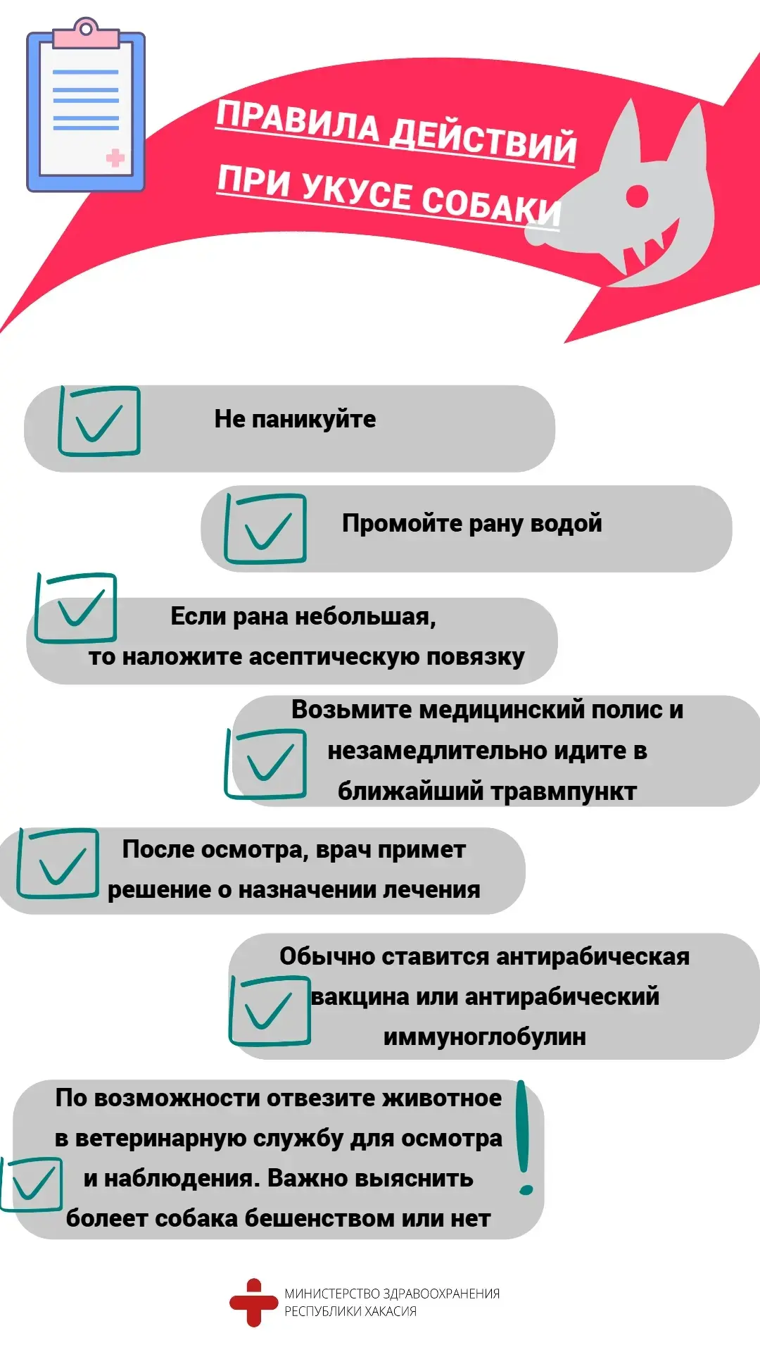❔Что делать, если укусила собака: инструкция