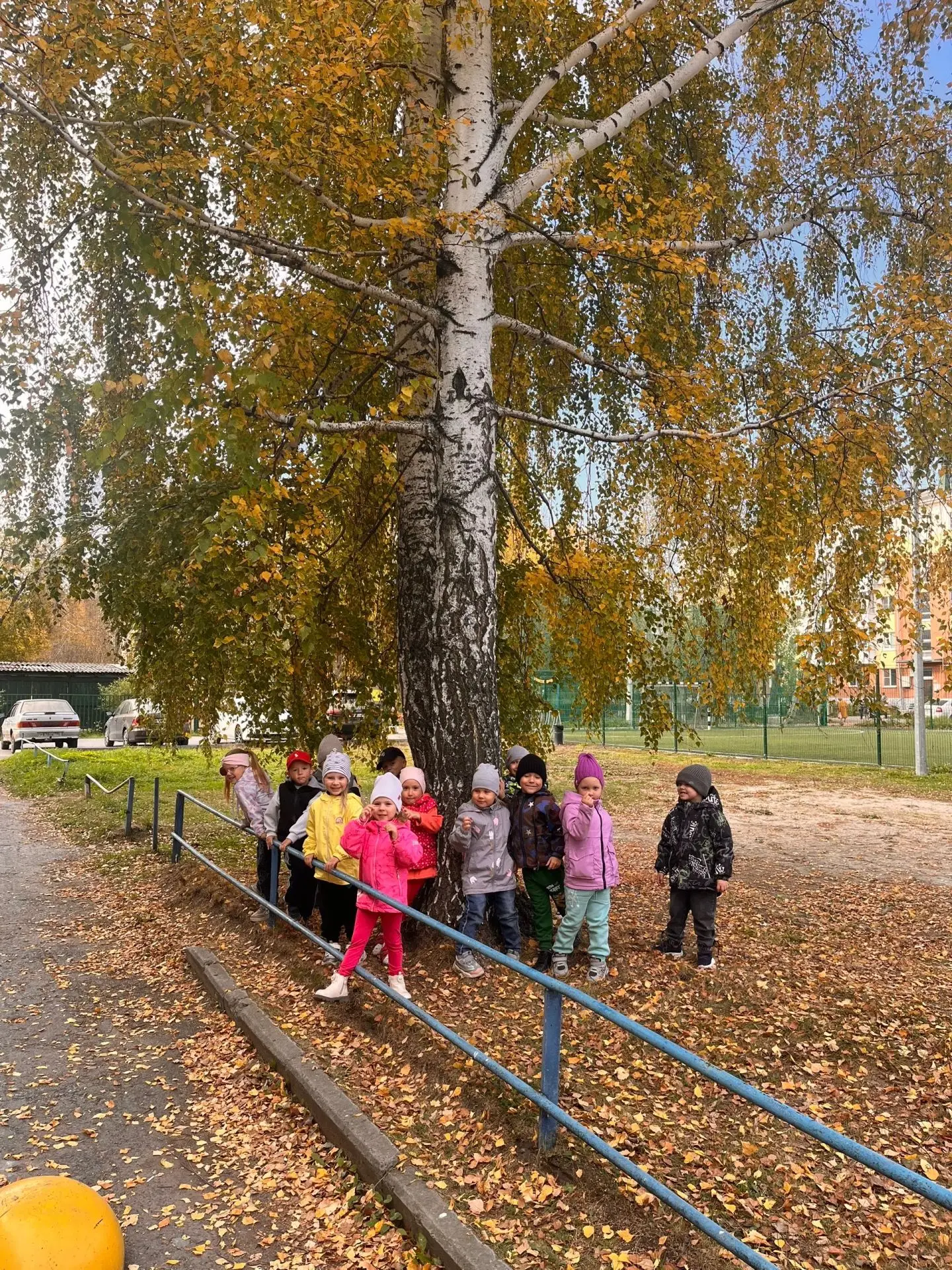 🤩Яркая, красивая осень 🍂 глазами «Верных друзей»