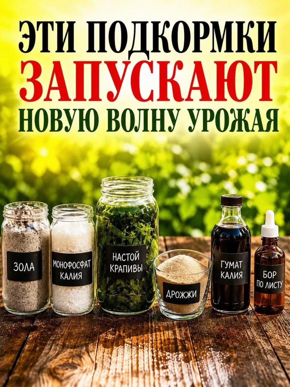 Хорошие подкормки, запоминаем!

🏡 уДачные советы