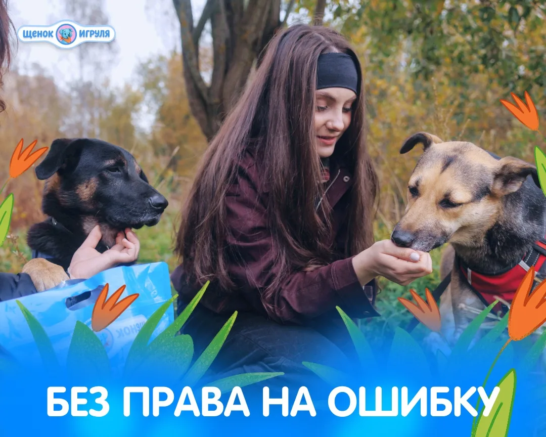 Без права на ошибку: что на самом деле означает «безопасный состав»

Безопасность — это не просто 