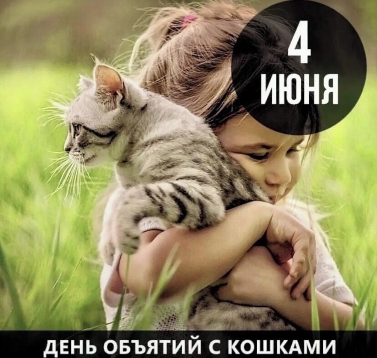 4 июня отмечается Международный день объятий с кошками. Девиз этого дня —  «Обними кота!». 🐈🐈‍⬛

В