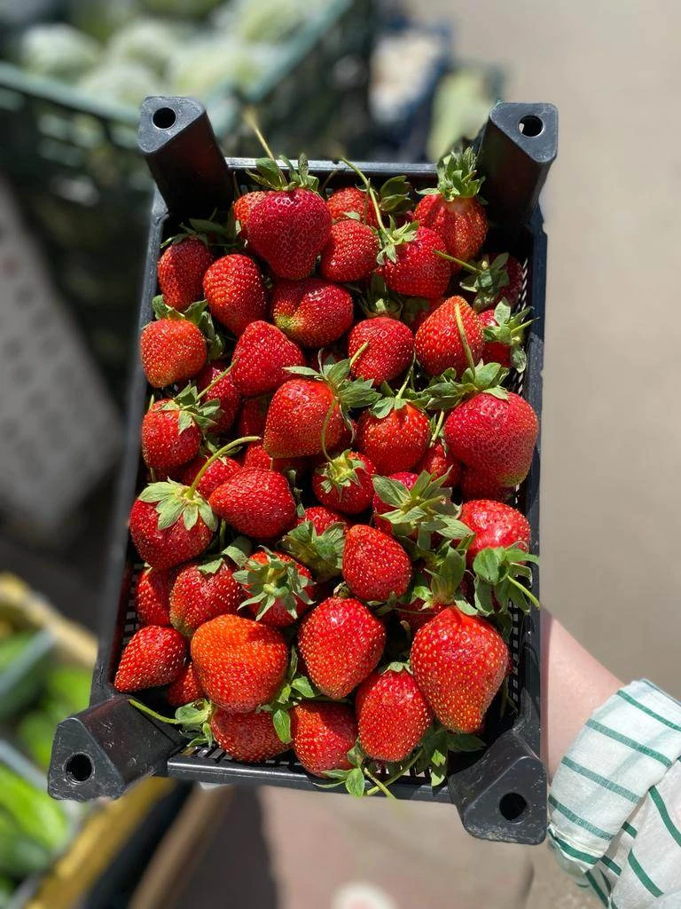 🍓 Пока погода проверяет всех на прочность… клубника по всей округе уверенно идёт вверх по цене 😅


