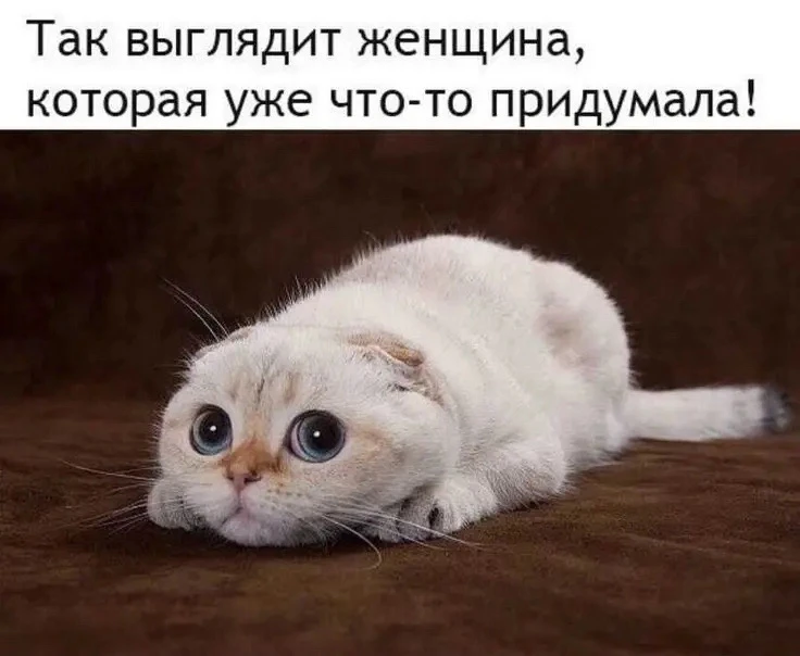 Видимо ему это очень нужно 😅
