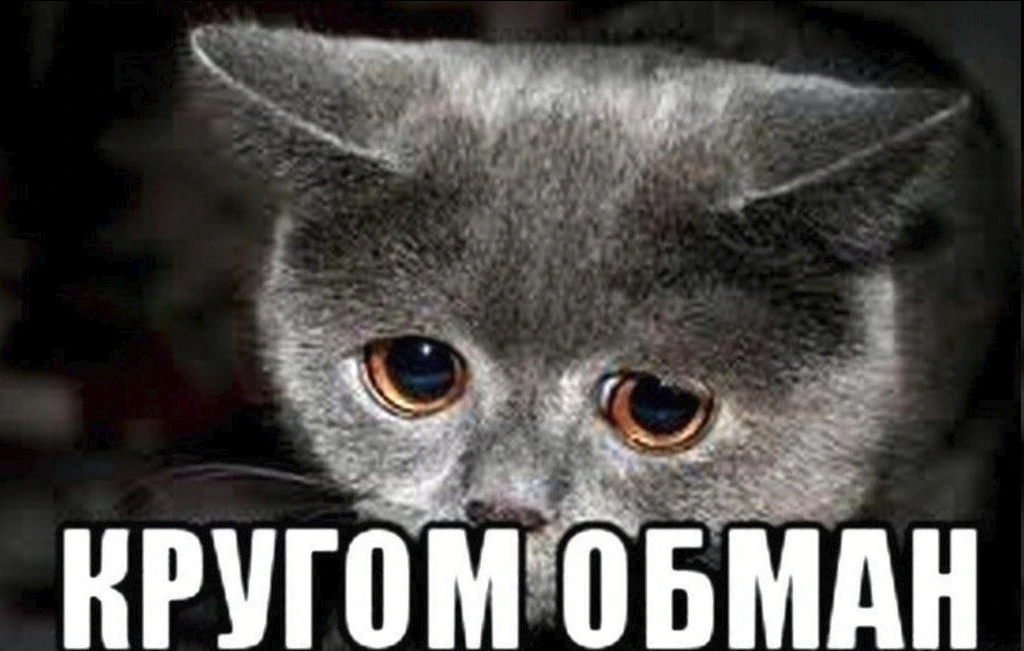 52-летняя вдова участника СВО из Кусинской Магнитки отдала мошенникам почти 4 млн рублей, которые по