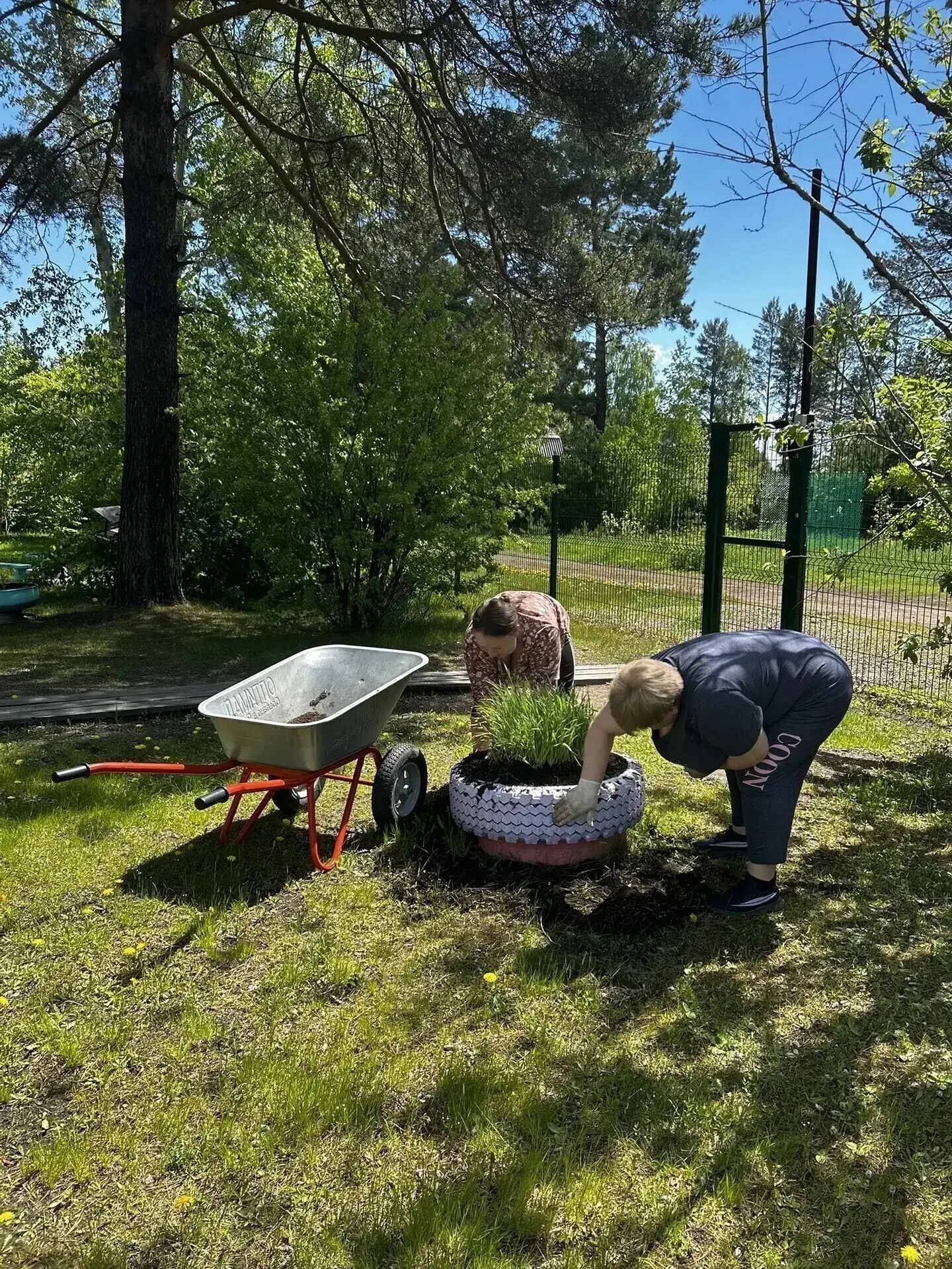 Лето в школе: время преображения и заботы! ☀️