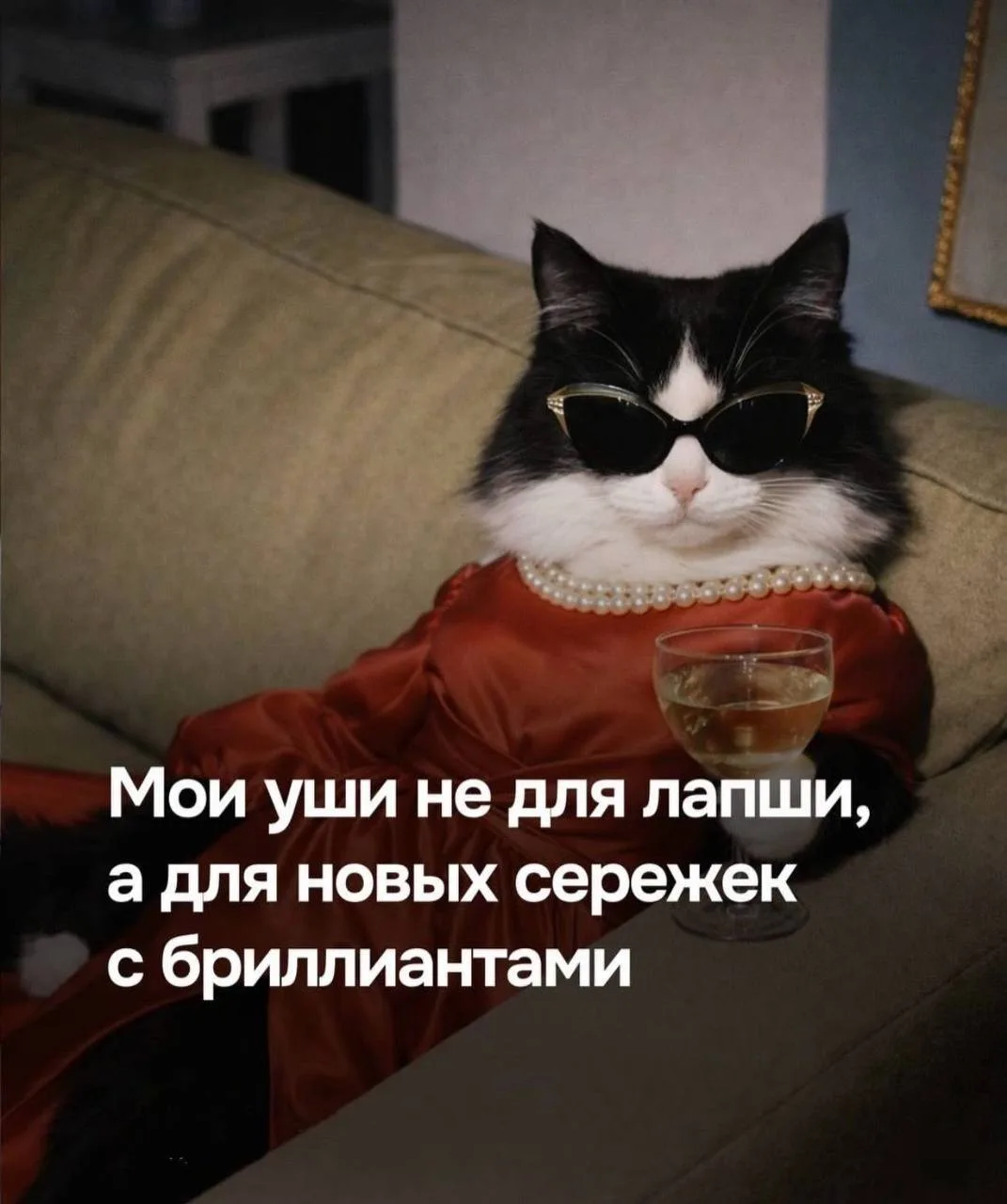 #мемыдня