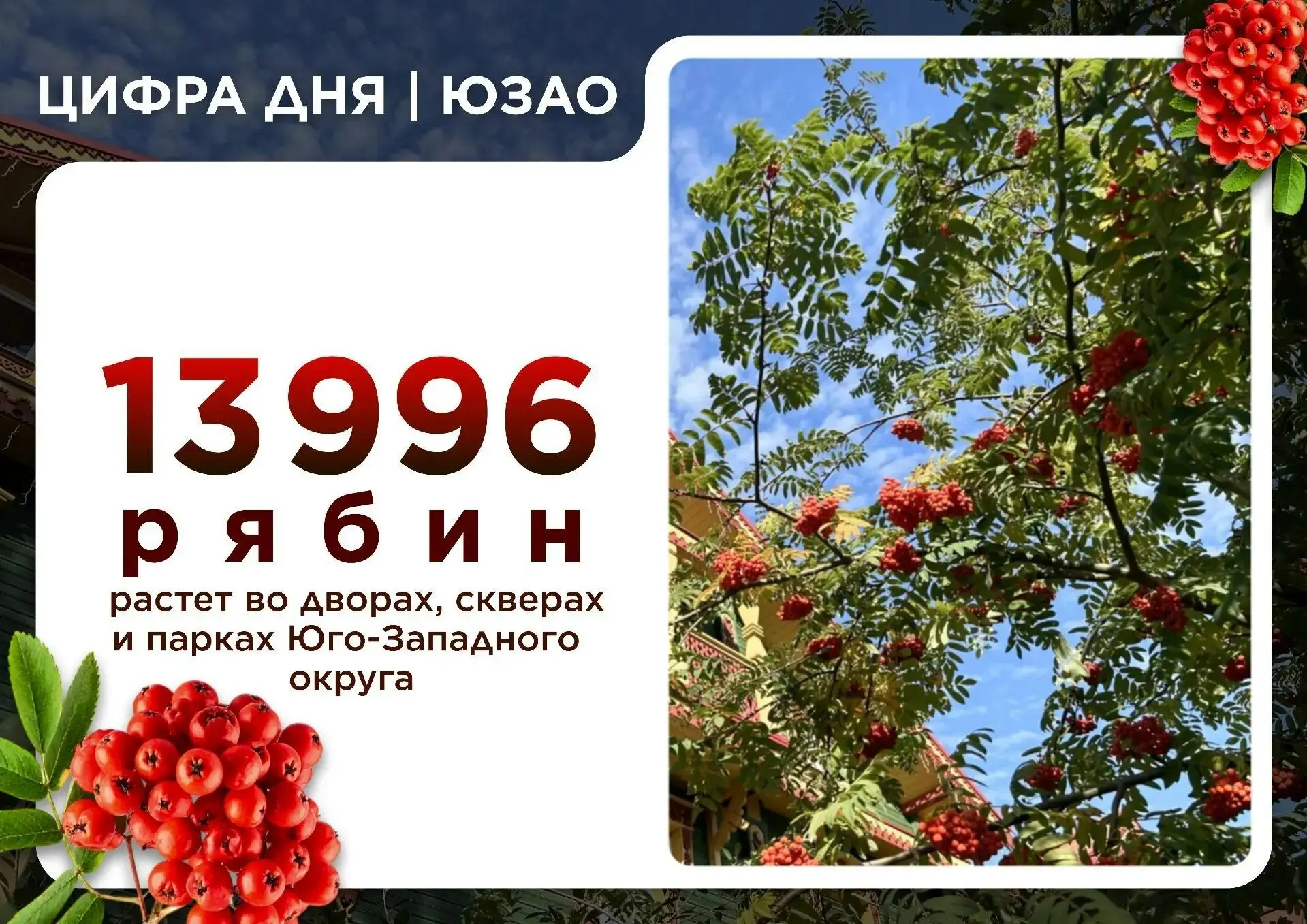 Бутово парк | Южное Бутово | Москва🏡