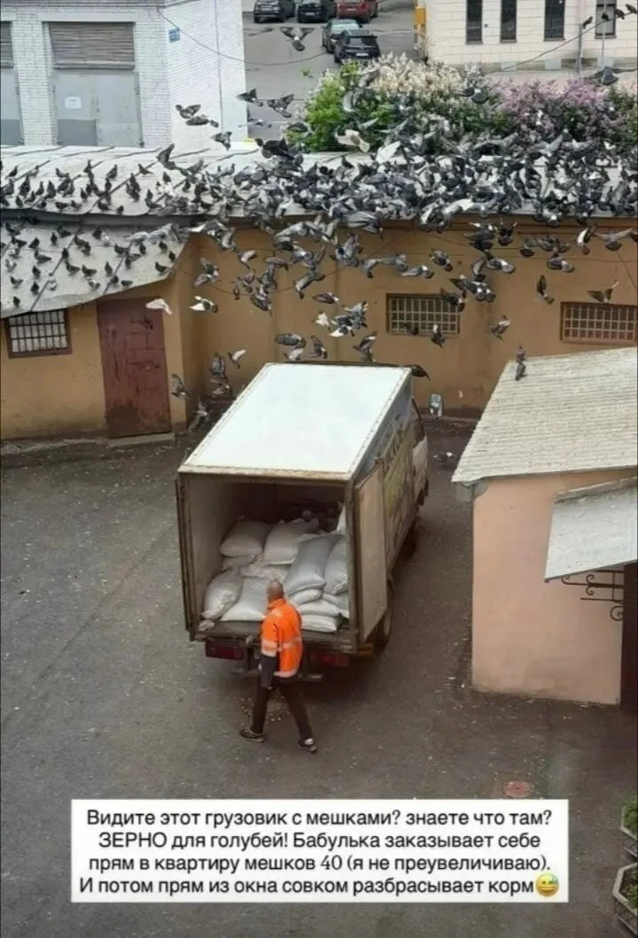 А еще культурная столица!
