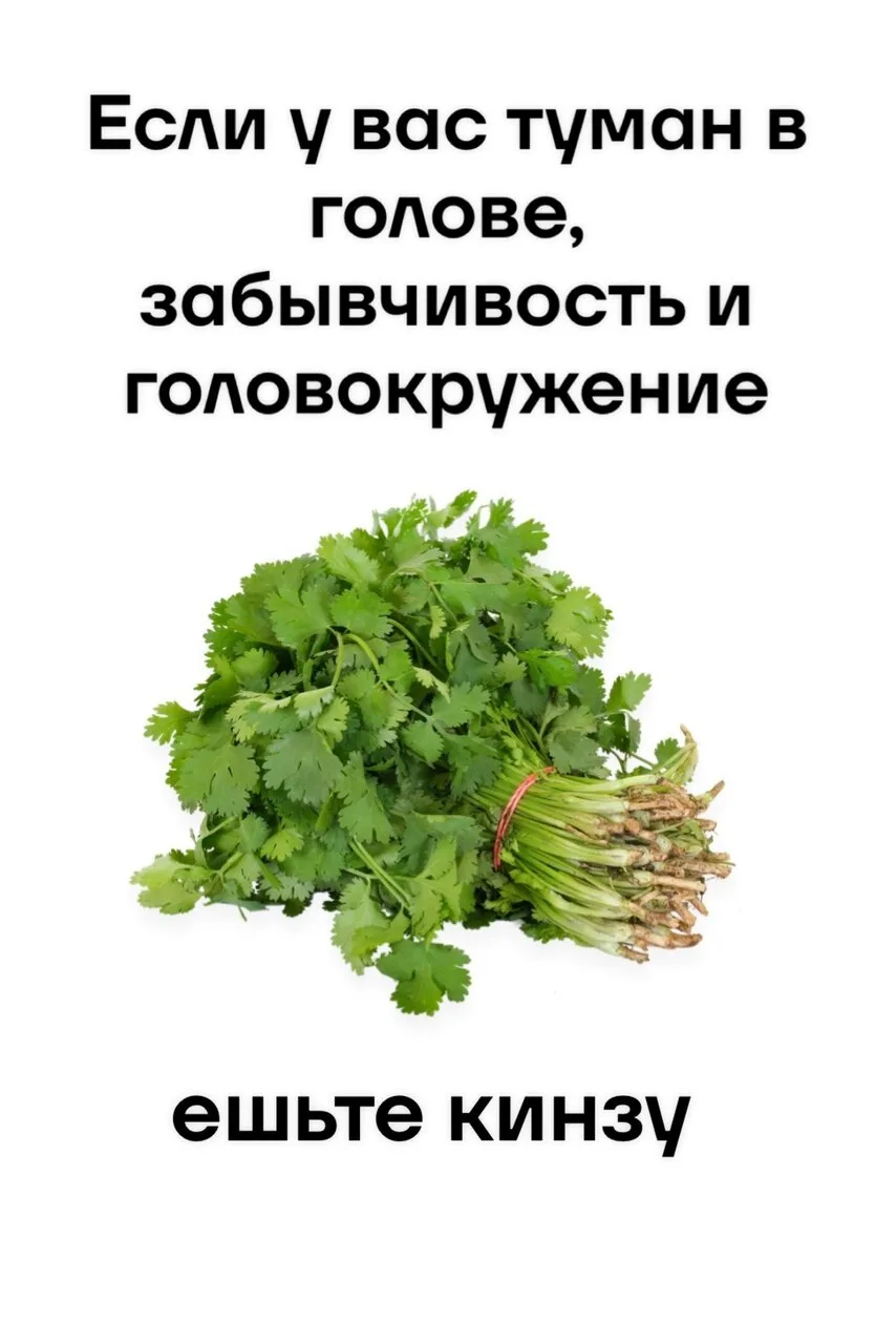 ВАС ОБМАНЫВАЮТ С ЭТИМИ МОДНЫМИ «СОРБЕНТАМИ»!
