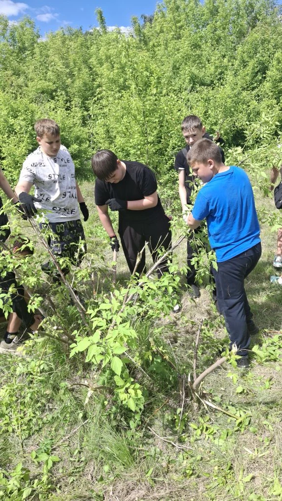 Традиционное общешкольное мероприятие "Здравствуй лето" объединило сегодня всю школу! Мы навели поря