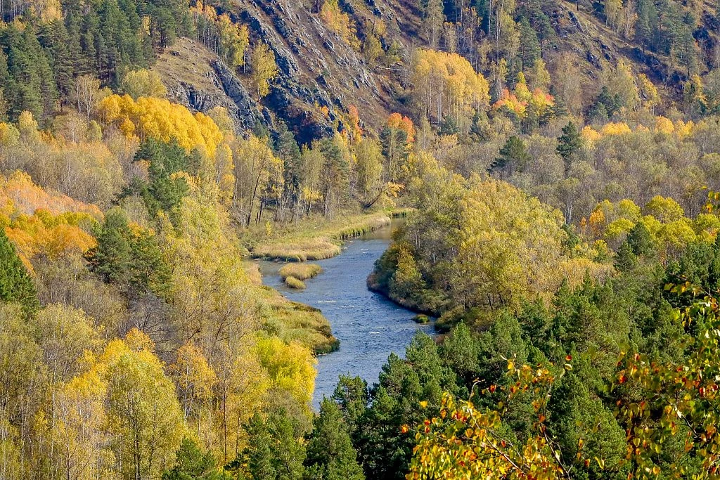 🏔 Рассказали как добраться до Бердских скал. Если вдруг не знаете, куда съездить недал...