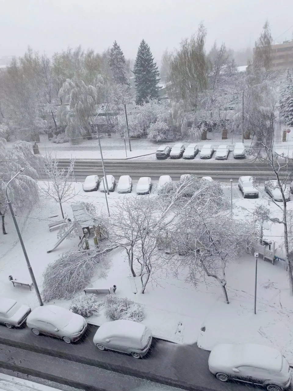 ❄️«Люблю зиму в начале мая».  Снег возвращается в центральную Россию!   Мощный снегопад прошлой ночь