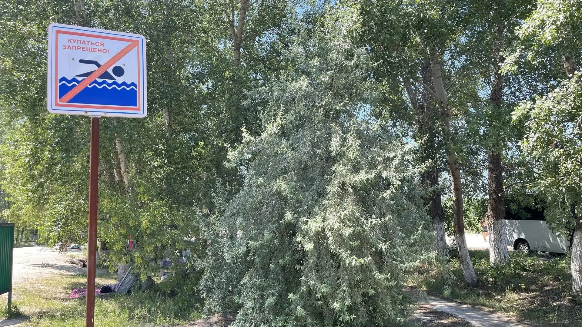 😢 ТРАГЕДИЯ НА ВОДЕ!
