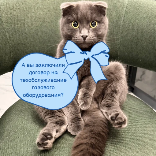 Подать заявление на заключение договора о техническом обслуживании внутриквартирного/внутридомового 