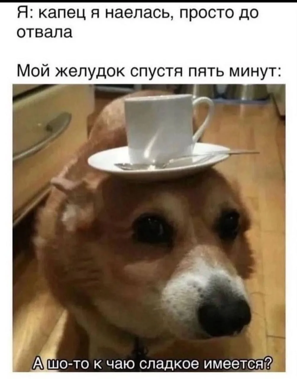 мы?