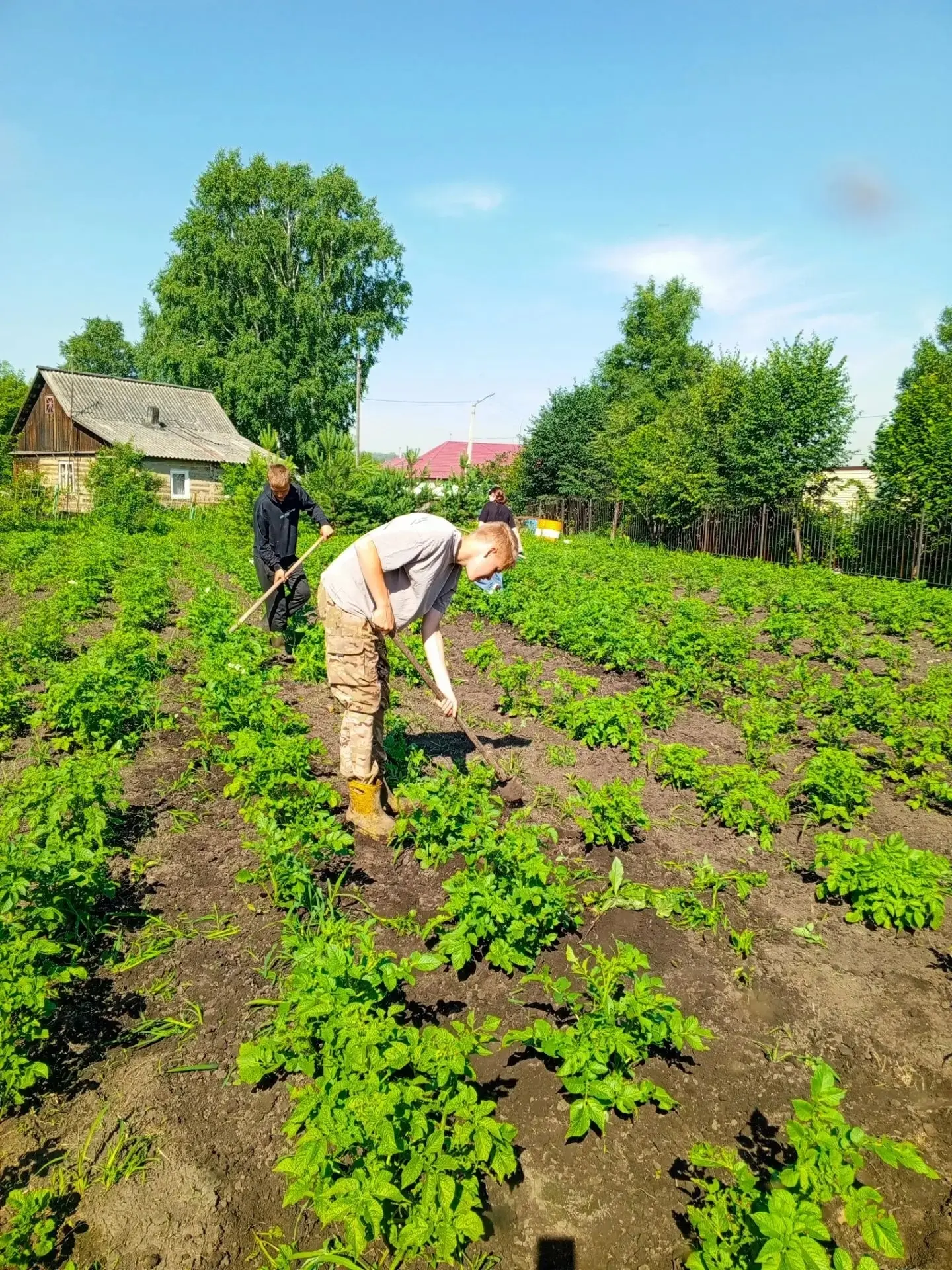 🌱 «От уборки до урожая: трудовые будни нашей бригады» 🌱

Наши ученики не сидят без дела — трудовая