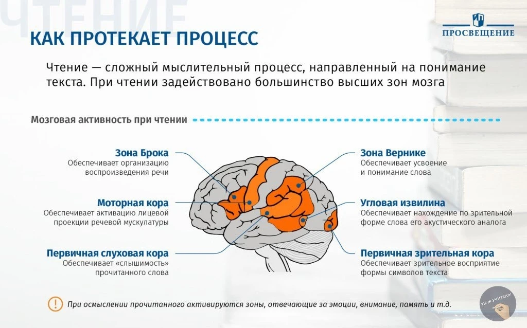 ЧТЕНИЕ