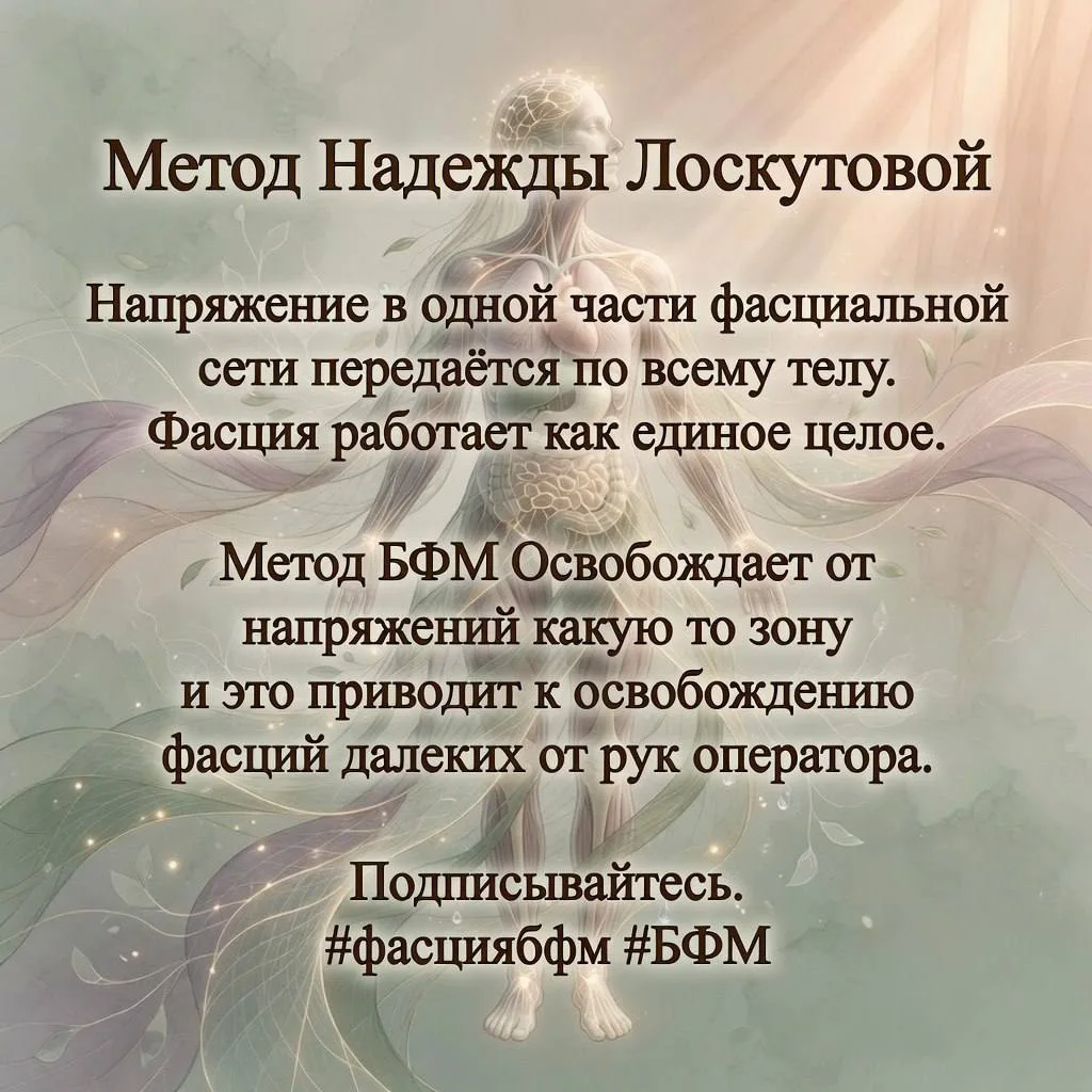#карточкибфм
