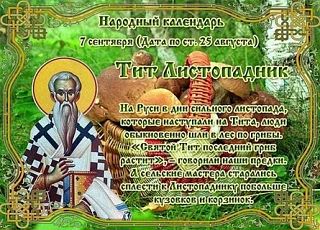 🥰 Оставляйте реакции, если понравилась открытка и делитесь с близкими ❤️
