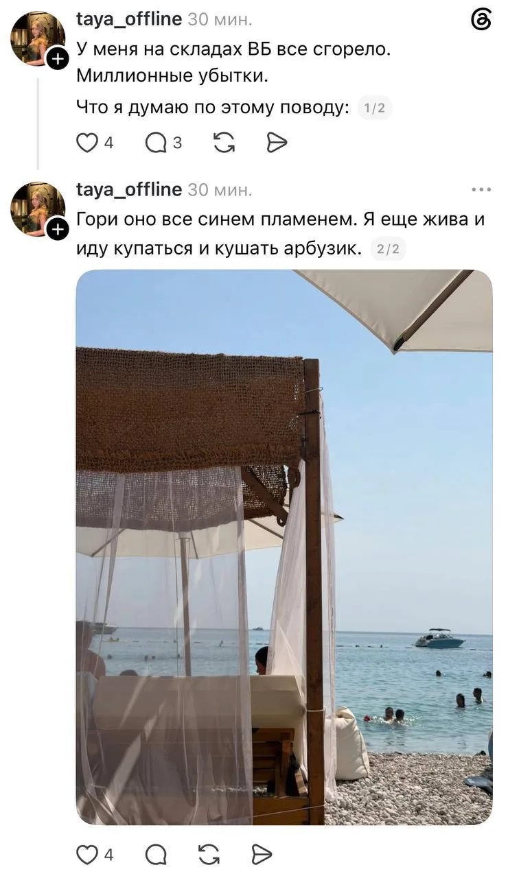 Селлер Wildberries поделилась своим способом борьбы с миллионными убытками после пожаро...