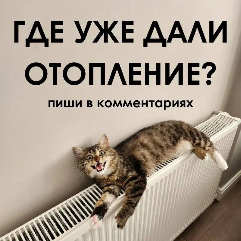 Соседи, перекличка 👇🏻