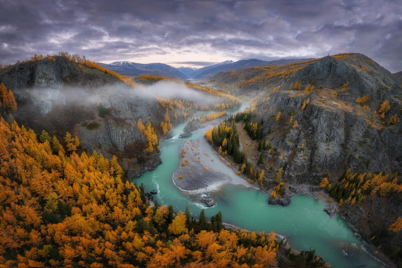 🍂 Золото Алтая: шикарная панорама реки Аргут у перевела Верблюжья шея!

Фото: Sergey Kozlov

📍Коор