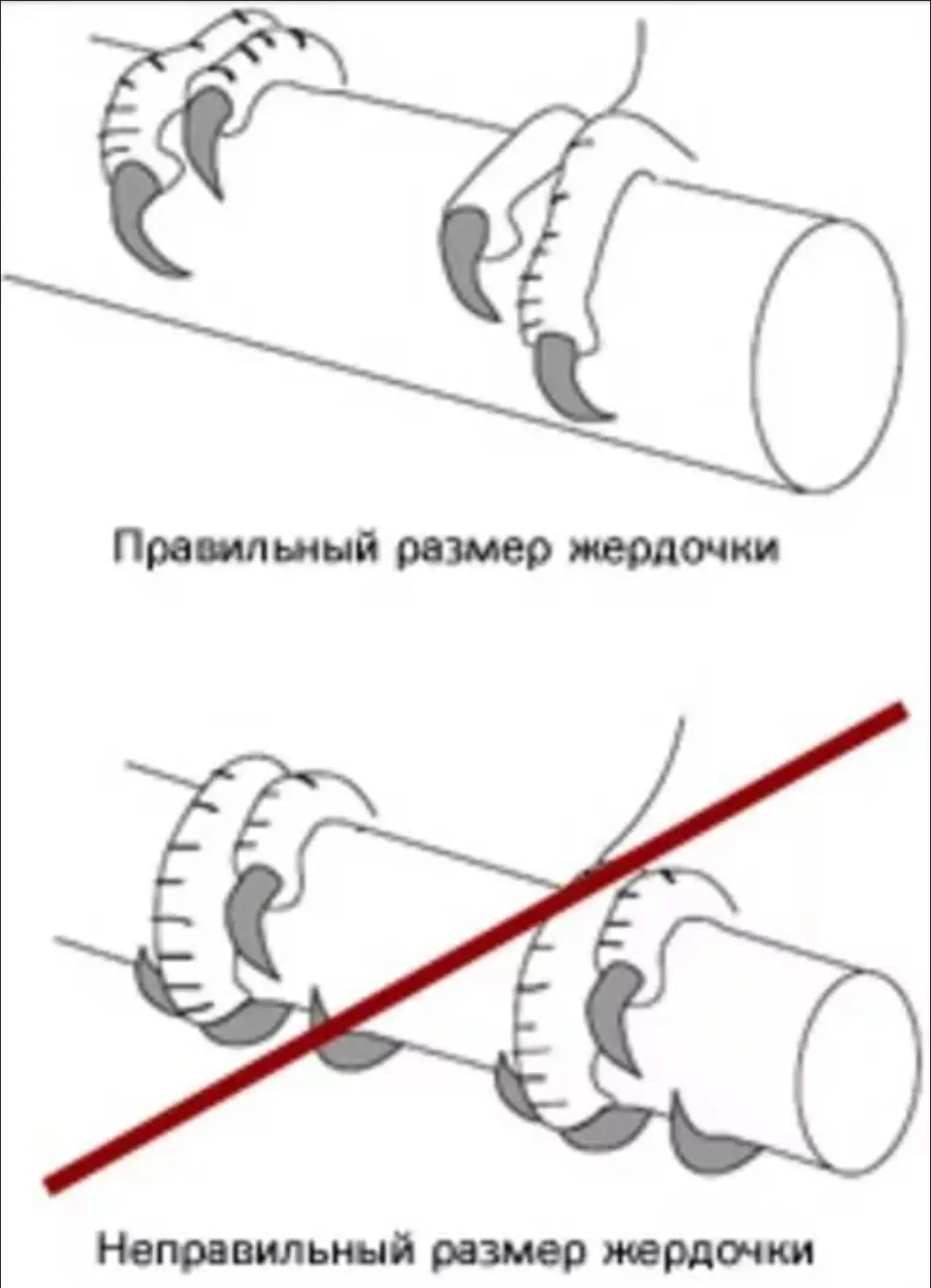 Какие жердочки оптимальны для куриных насестов, да и вообще в целом для любой птицы, бу...