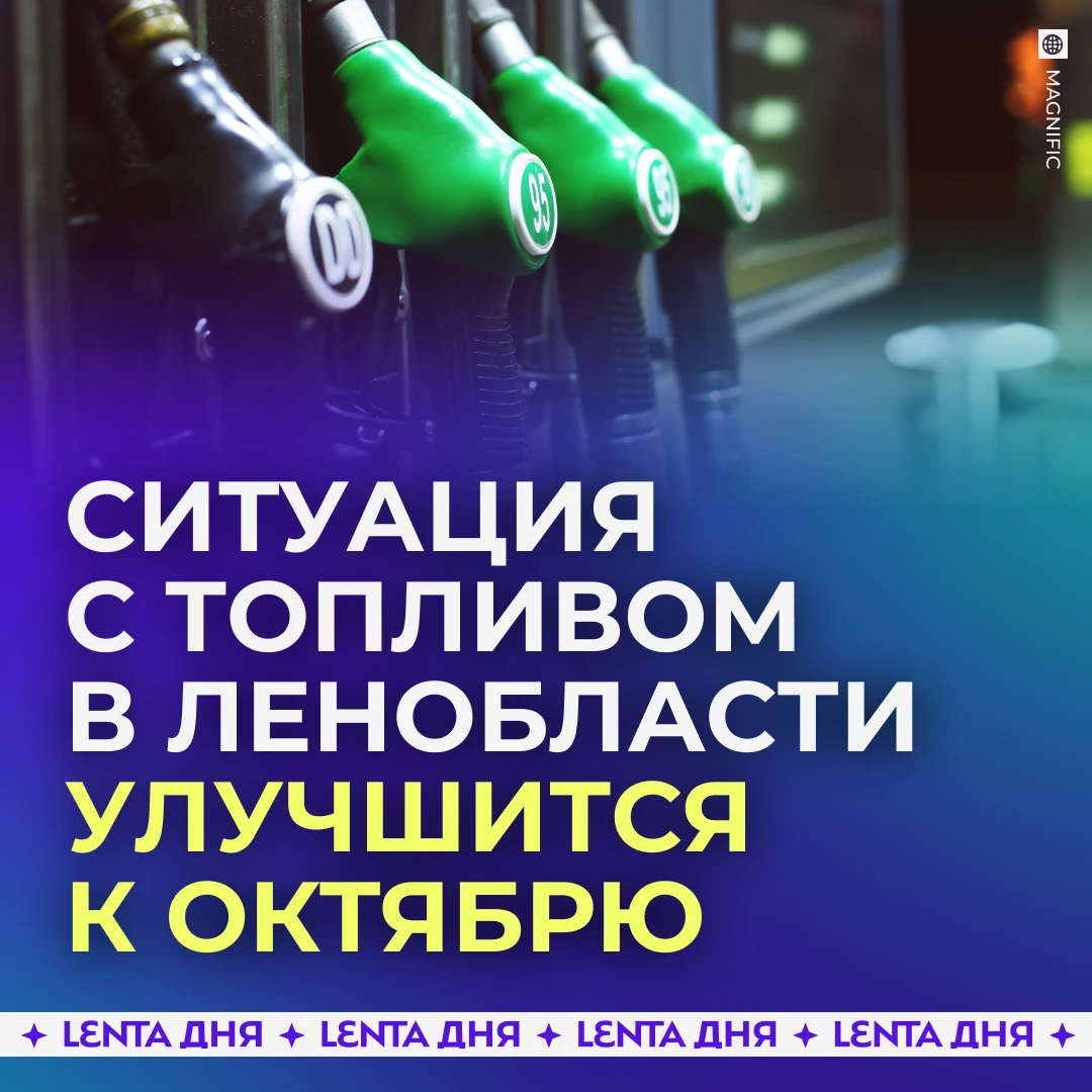 ⛽️ Решить проблему с топливом в Ленобласти рассчитывают к началу октября.