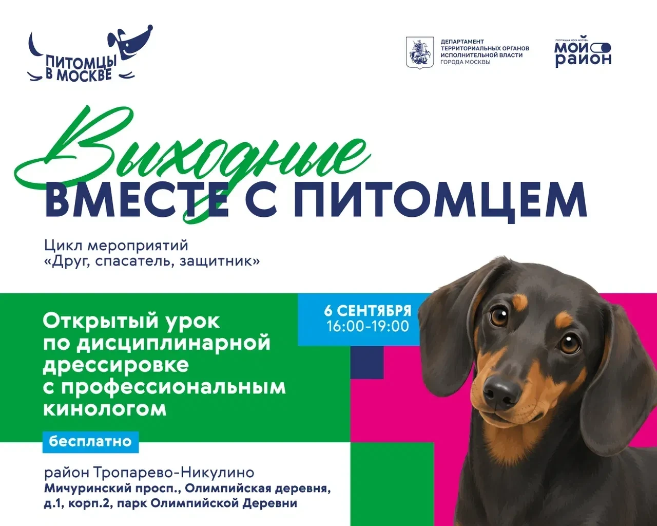 Открытый урок по дрессировке в районе Тропарево-Никулино