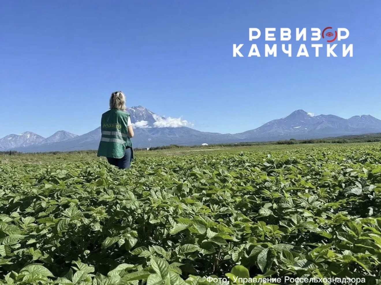 Нематода отступила: в ЕМО округе отменили карантин