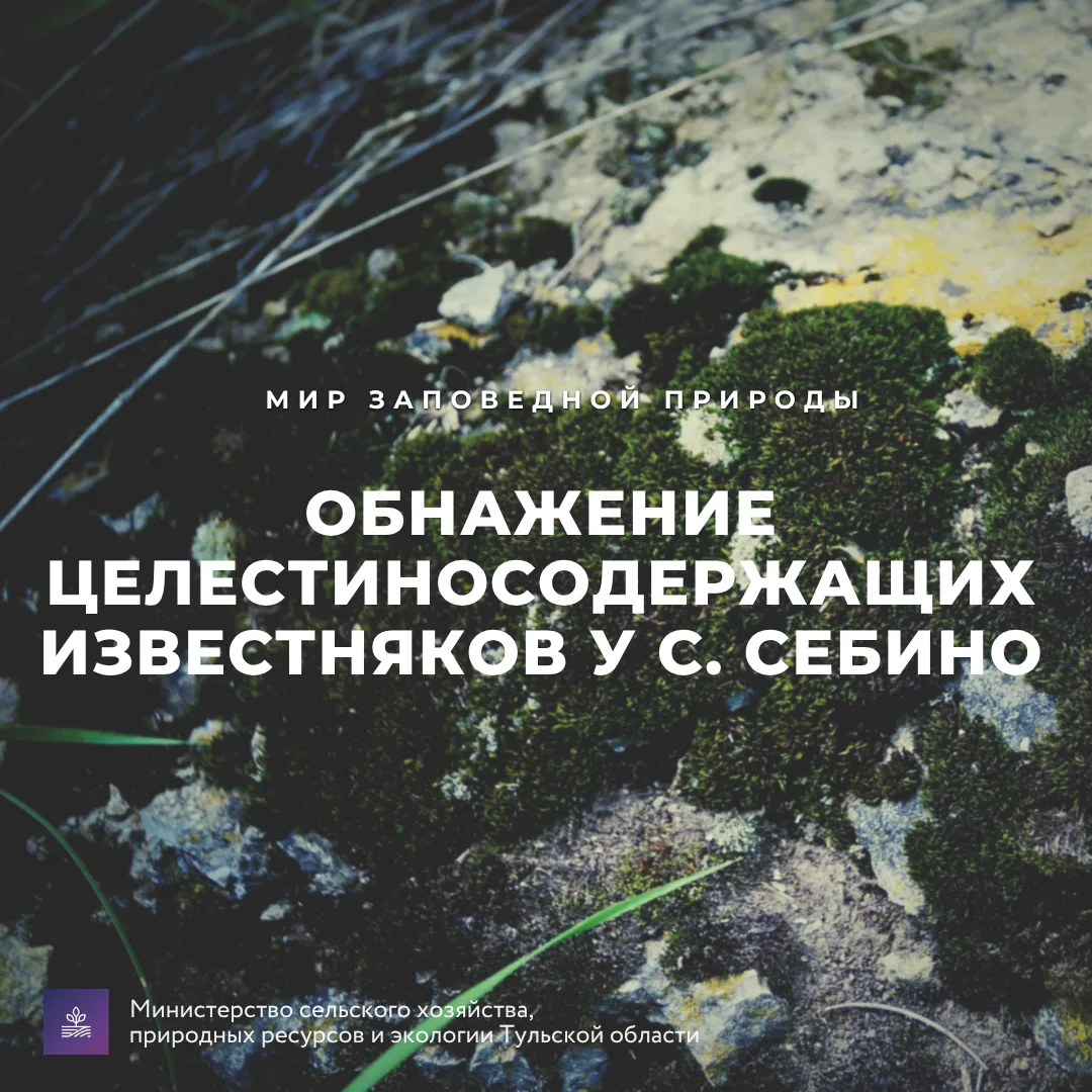 #Красотародногокрая