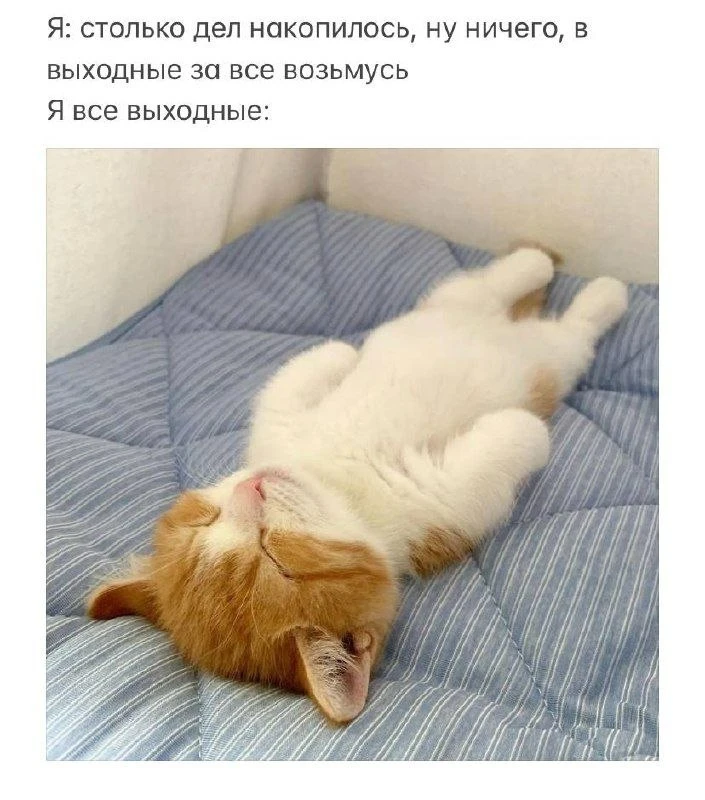 Приятных выходных. Увидимся в понедельник🌴