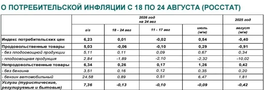 Бензин за неделю подорожал на 0.89% — Росстат