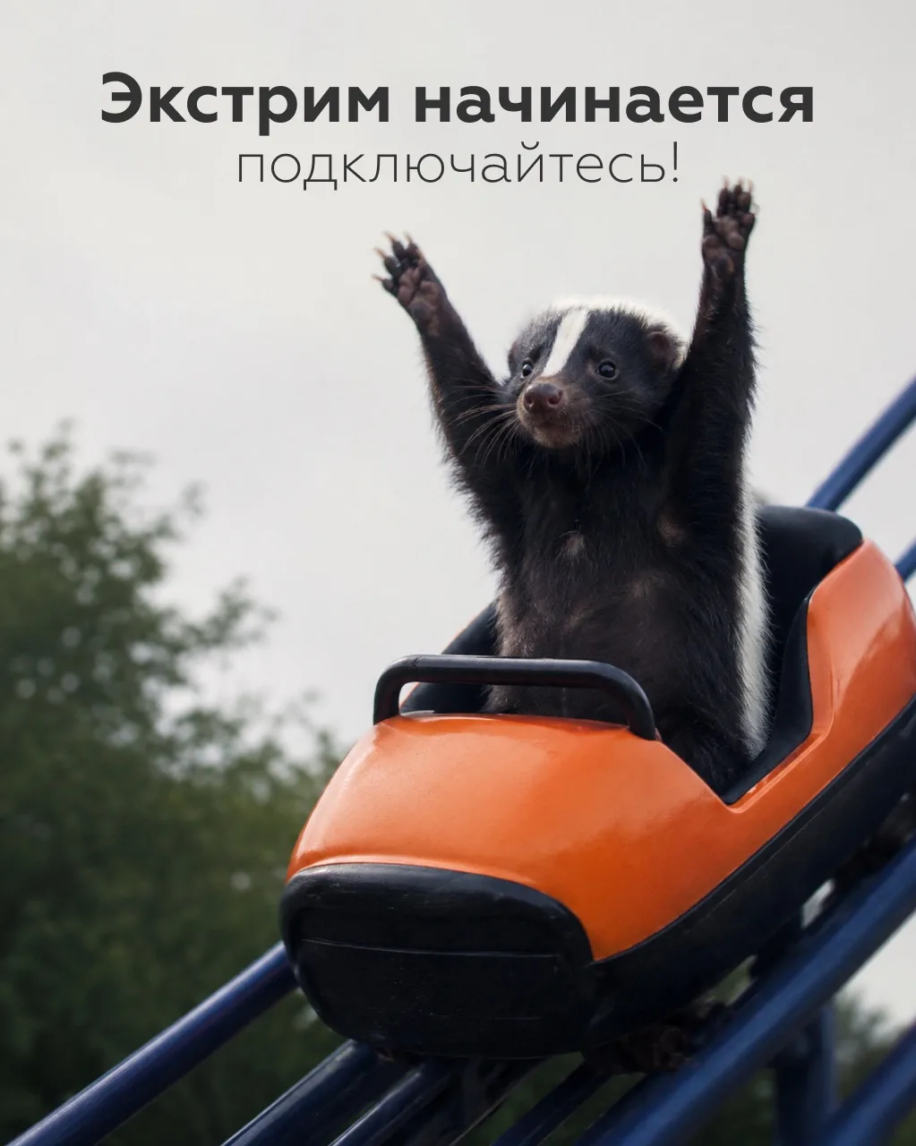 10 минут и мы в эфире 🔈