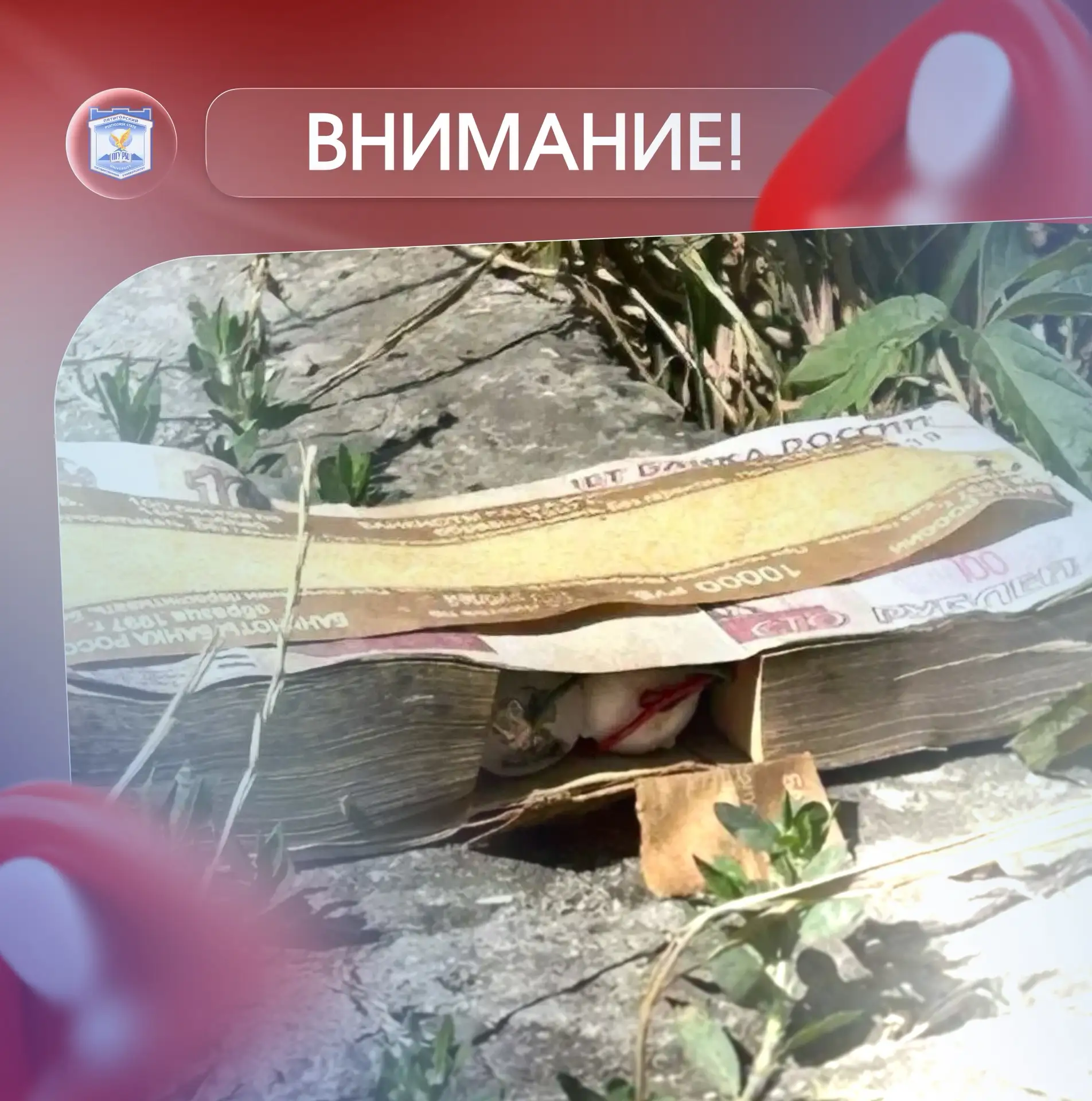 ❗️ВНИМАНИЕ❗️