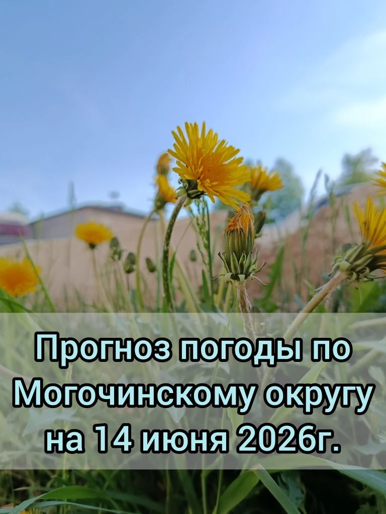 🌥️Прогноз погоды по Могочинскому району на 14 июня 2026 г.

🌥️ Без существенных осадков. 🌬️Ветер 