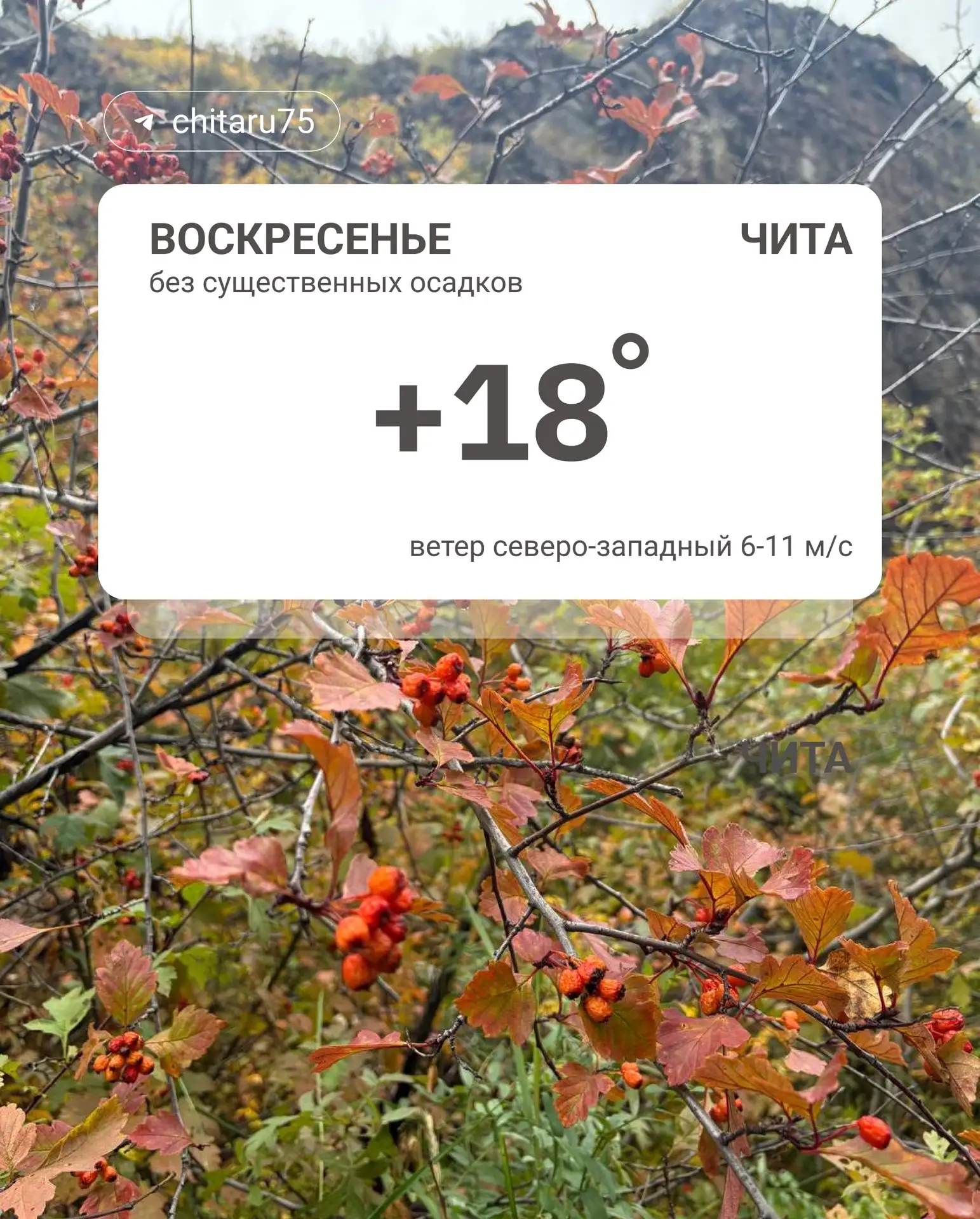 Погода днём. ⬆️