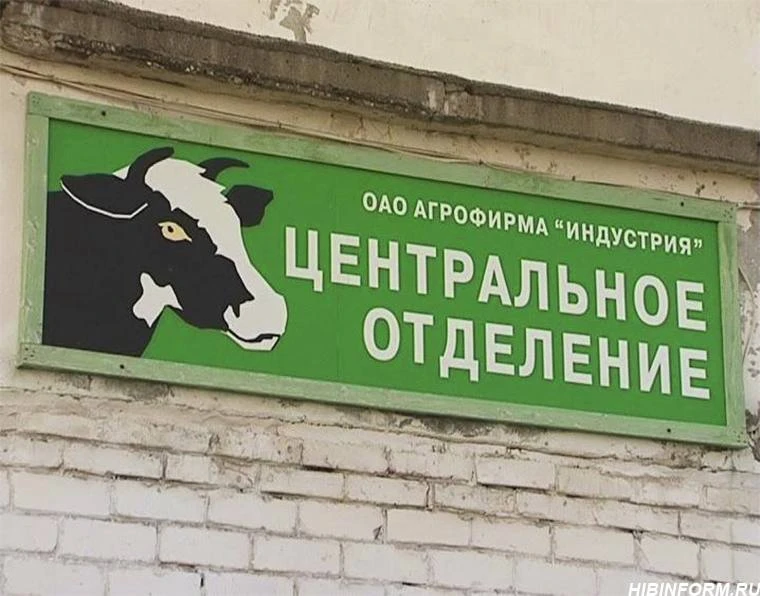 🐮 Директор фермы в Апатитах предстанет перед судом из-за долгов по зарплате