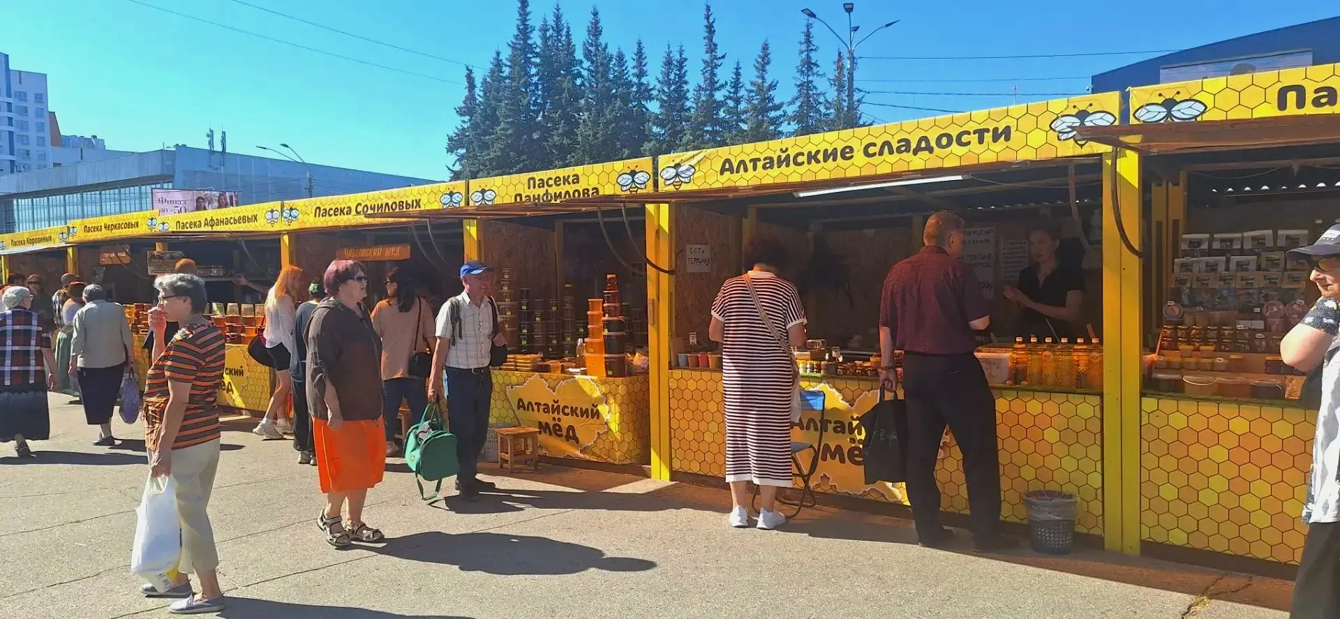 Алтайские пчеловоды удостоены ведомственных наград