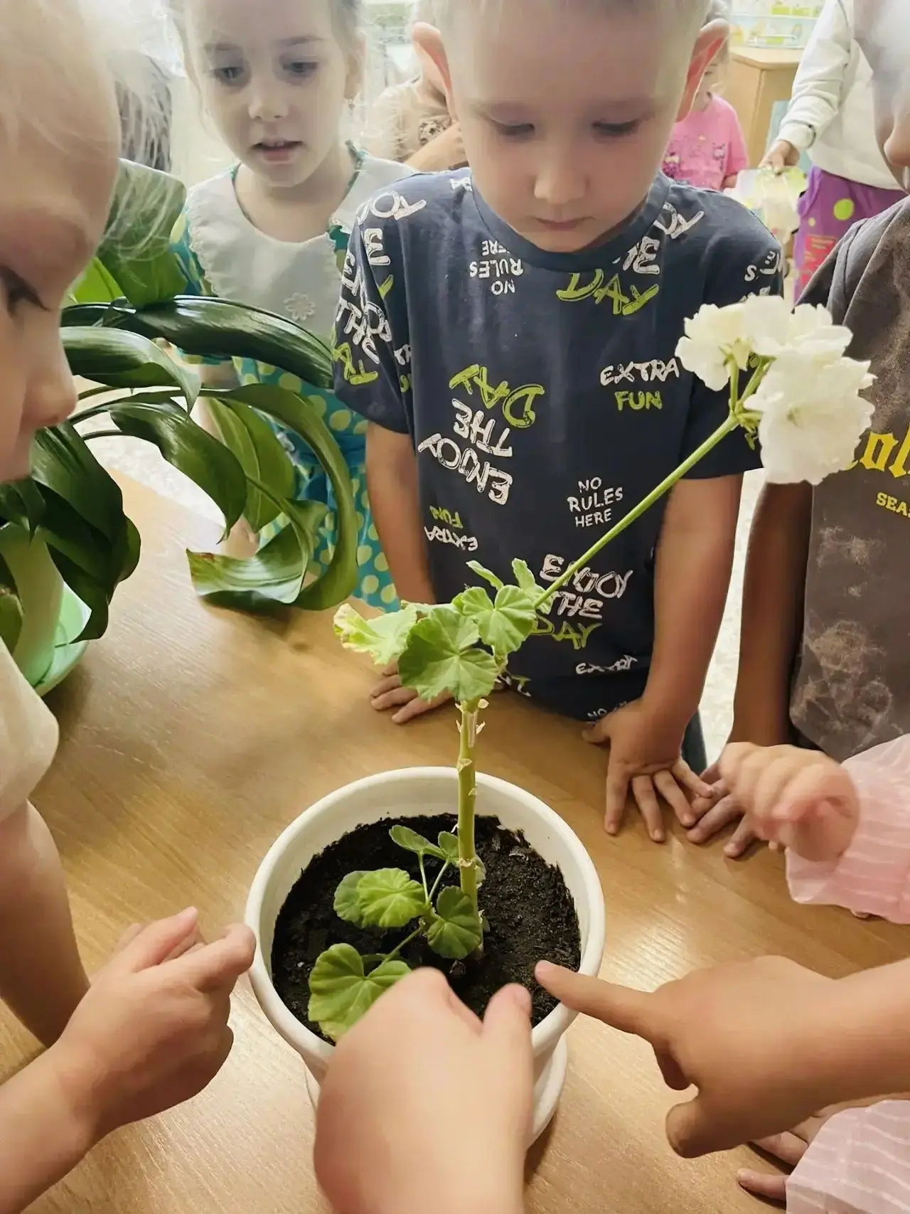 В рамках «Дня растений» во второй младшей группе №3 дети:

🌿рассматривали строение цветка (стебель,