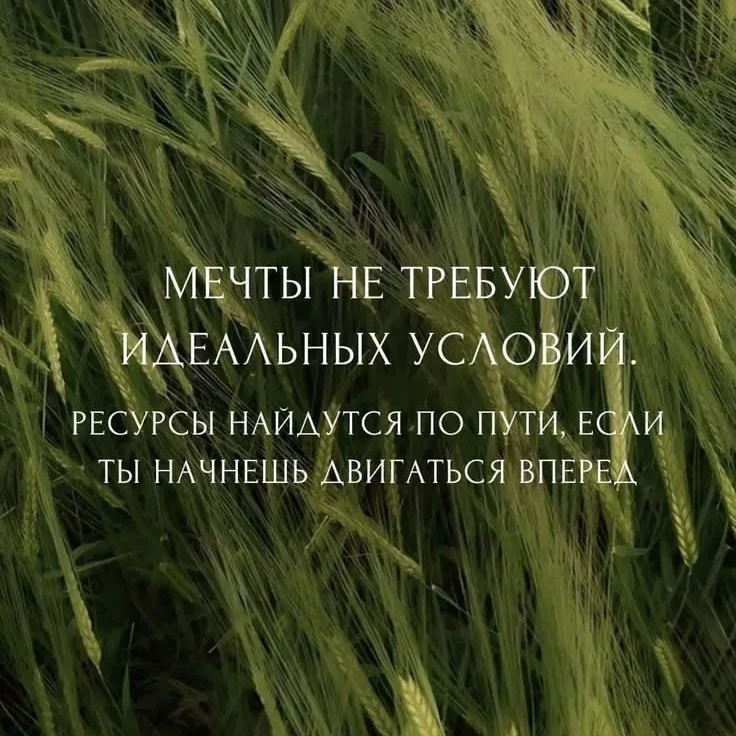 🛎️Настройка на день