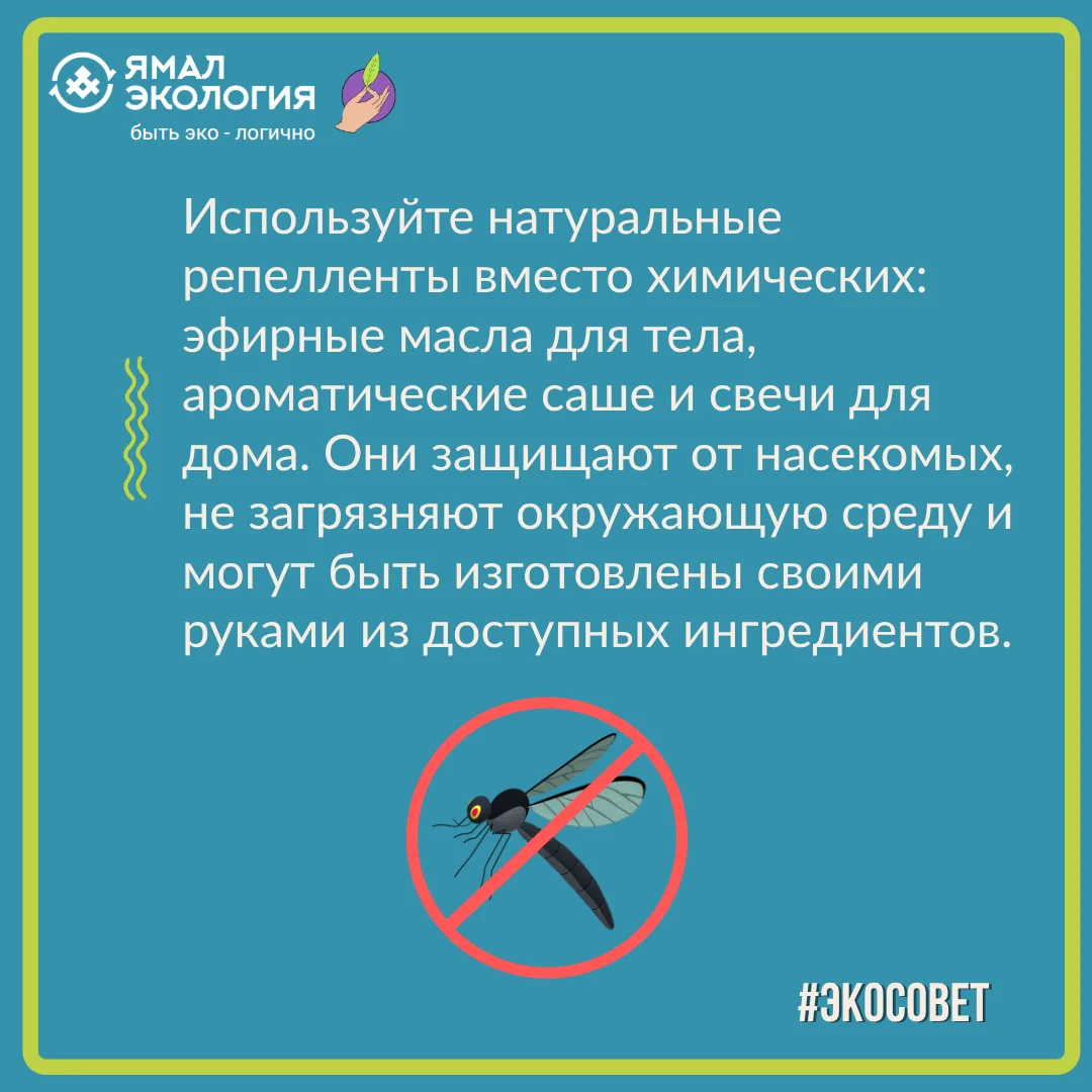👎 Химические репелленты (особенно аэрозоли) попадают в почву и водоёмы, отравляя растения, рыб и на