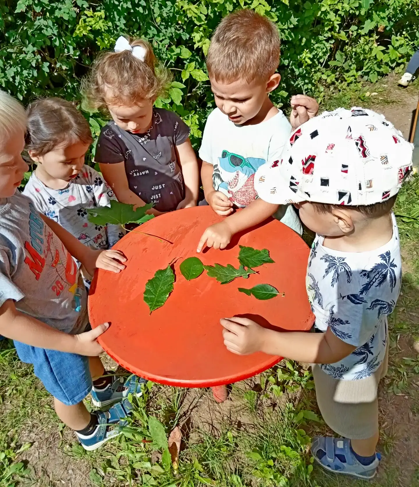 ☘Листочки большие и маленькие🍃