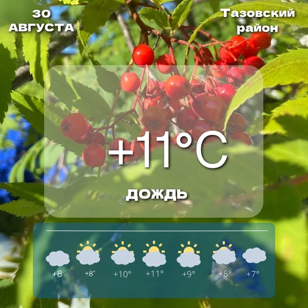 🌤️Прогноз погоды на сегодня