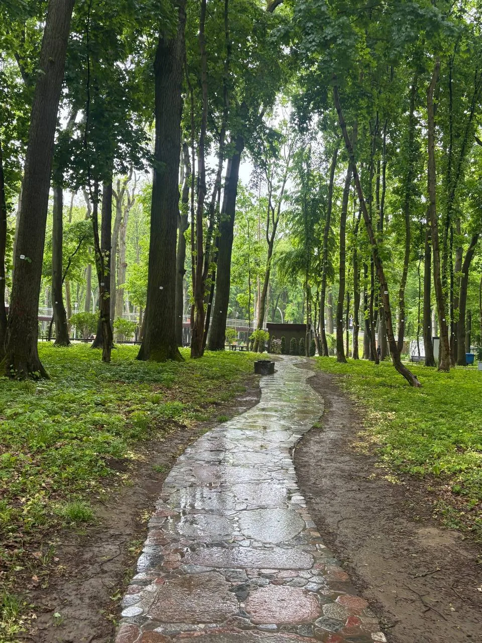 Доброе утро, друзья!