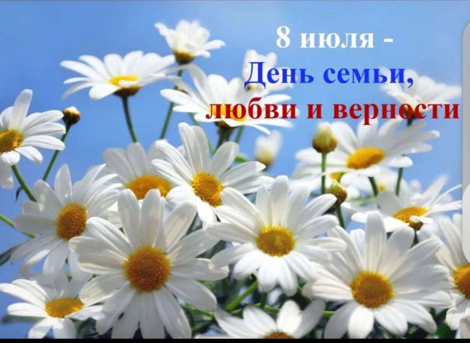 8 июля — День семьи, любви и верности. И пусть этот день станет ещё одним поводом сказа...